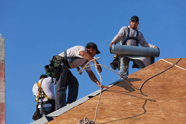 Best Roof Waterproofing Services  in Chariton, IA