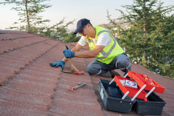 Best Roof Restoration Services  in Chariton, IA