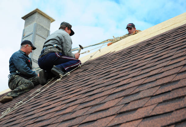 Best Flat Roof Repair Services  in Chariton, IA