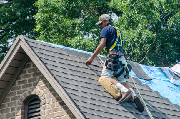 Best Roof Leak Repair  in Chariton, IA